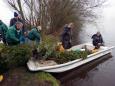 KERSTBOOM(3)