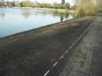 Husterplas oevers maart 2016 (3)