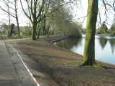 Husterplas oevers maart 2016 (6)