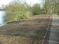 Husterplas oevers maart 2016 (8)